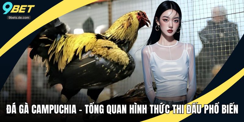 đá gà campuchia