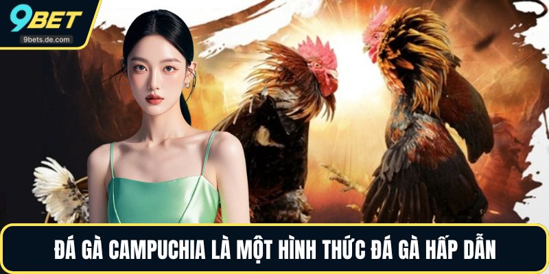 Đá gà campuchia là một hình thức đá gà hấp dẫn