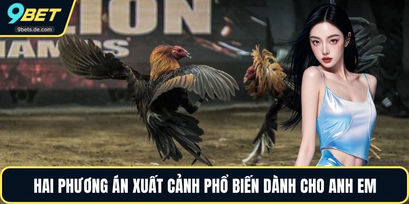 Hai phương án xuất cảnh phổ biến dành cho anh em