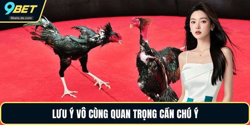 Lưu ý vô cùng quan trọng cần chú ý