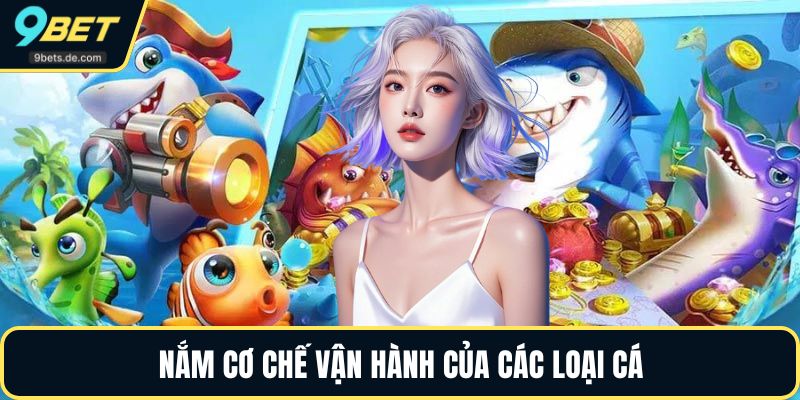 Nắm cơ chế vận hành của các loại cá