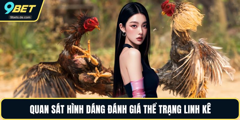 Quan sát hình dáng đánh giá thể trạng linh kê