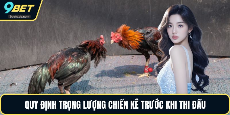 Quy định trọng lượng chiến kê trước khi thi đấu